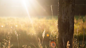 折扣特惠的网页攻击器教程