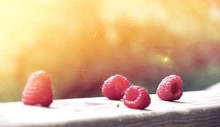 服务器攻击软件